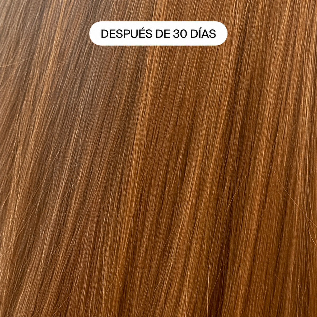 La misma imagen de ejemplo del equipo CAUCE, sin cambio de resultado.